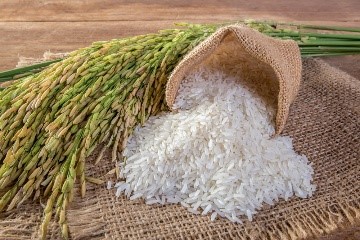 BERAS 25 KG (harga per krg)