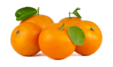BUAH JERUK (harga per kg)